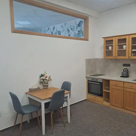 Apartment Stepankova 85