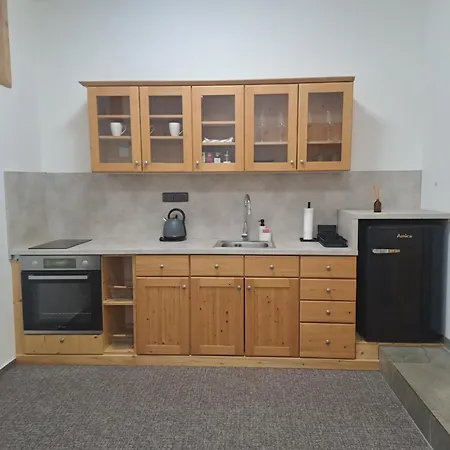 Apartmán Stepankova 85 *